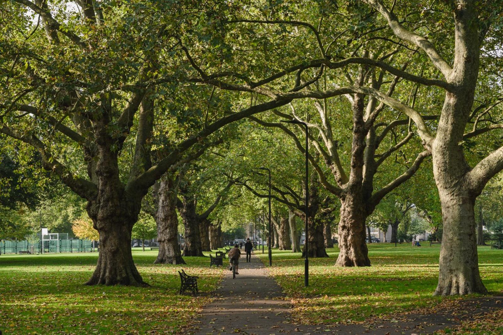 Lovely Apartment In Victoria Park Village Londra Esterno foto